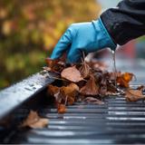 Gutter Vacuum LLC - Gutter Services in Freemansburg