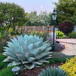 Taylor's Landscape Design - photo 2