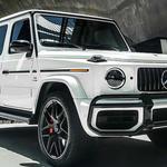 Moose Chauffeur Service - photo 2