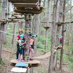 Navitat Knoxville - photo 1