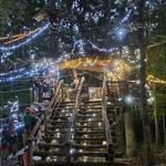 Navitat Knoxville - photo 2