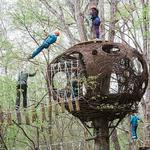 Navitat Knoxville - photo 3