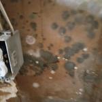 RestoPros of North Houston - photo 6