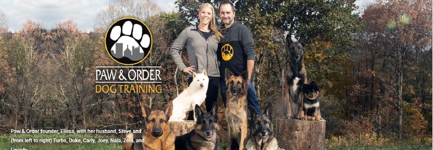 Paw and Order Dog Training - Upstate SC cover photo