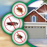 Mobile Wasp Removal Melbourne