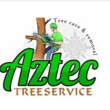 Burlington Tree Services - Tree Services in Burlington