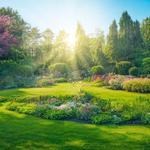 Brighton Gardening Services | Brighton Landscaping - photo 2