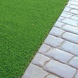 Rooftop Garden Ltd - Roof Inspectors in Sheffield