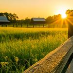 Bomann Fencing - photo 1