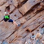 RAK Zipline - photo 3