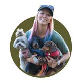 Sophia Gillis - Dog Behaviourist - Dog Walkers in Queens Park