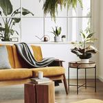 Stellar Staging & Interiors - photo 2