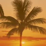 Pinellas Insurance Solutions - photo 1