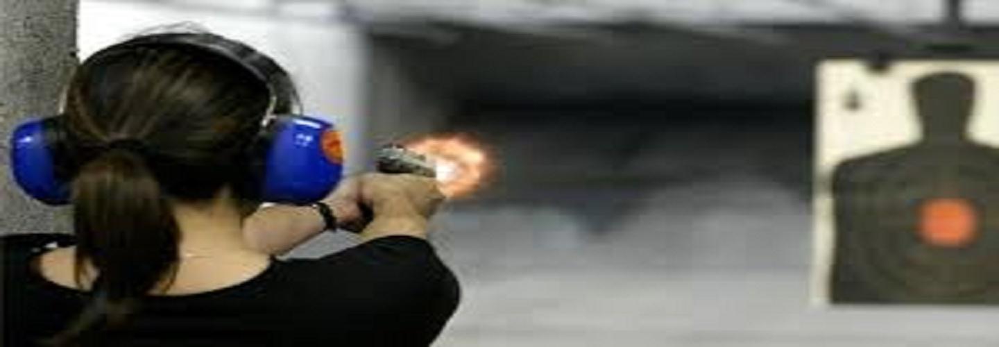 Mass Firearm Safety Training LLC cover photo