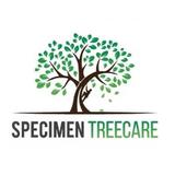 Specimen Treecare