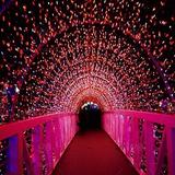 Illuminated Lighting Trails Ltd - Lighting Fixtures & Equipment in Sheffield