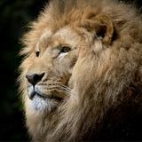 Adnan Khan Online Marketing - Marketing in Breckenridge