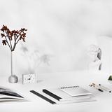 Turf King Artificial Grass & Turf Installation Langley - Artificial Turf in Langley