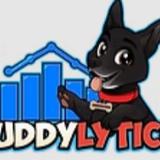 Buddylytics LLC - Professional Services in Rockledge
