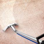 Hamilton's Unlimited - photo 1