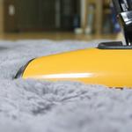 Hamilton's Unlimited - photo 6