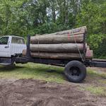 Naugle Logging - photo 3