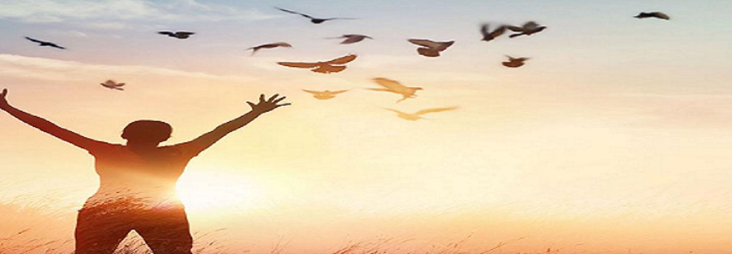 Dr Sonney McPhee cover photo