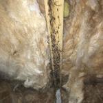 ADCO Innovations, Inc. - photo 6