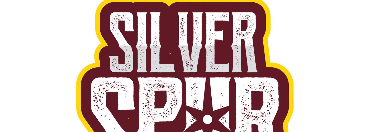 Silver Spur Inspections cover photo