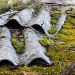 Asbestos assessor cairns - photo 1