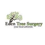 Eden Tree Surgery Ltd - Tree Services in Iver Heath