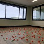 Jacob’s renovations - photo 1