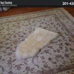 UCM Rug Cleaning - photo 1