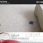 UCM Rug Cleaning - photo 3