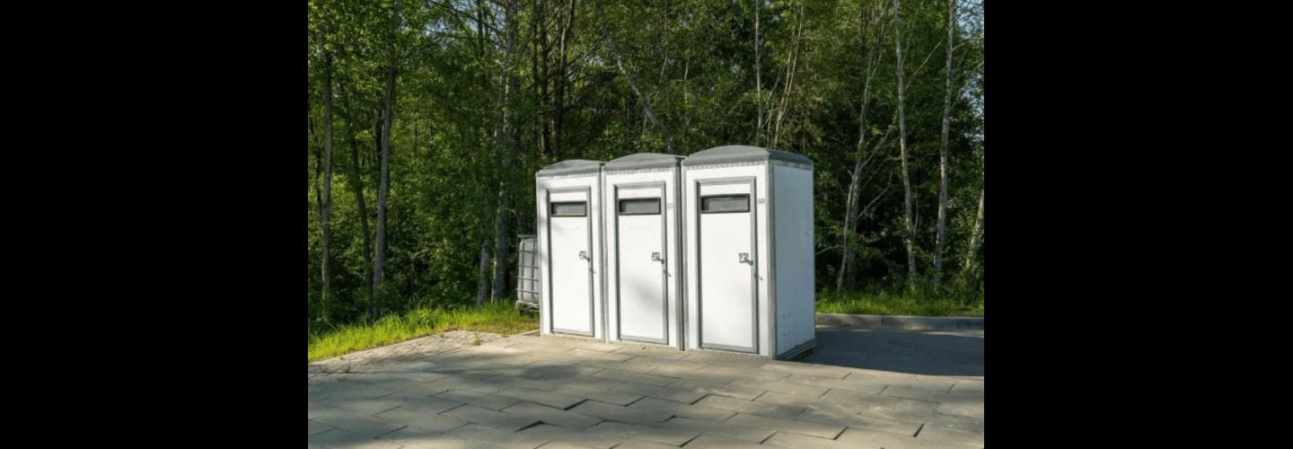 Next Day Potty cover photo