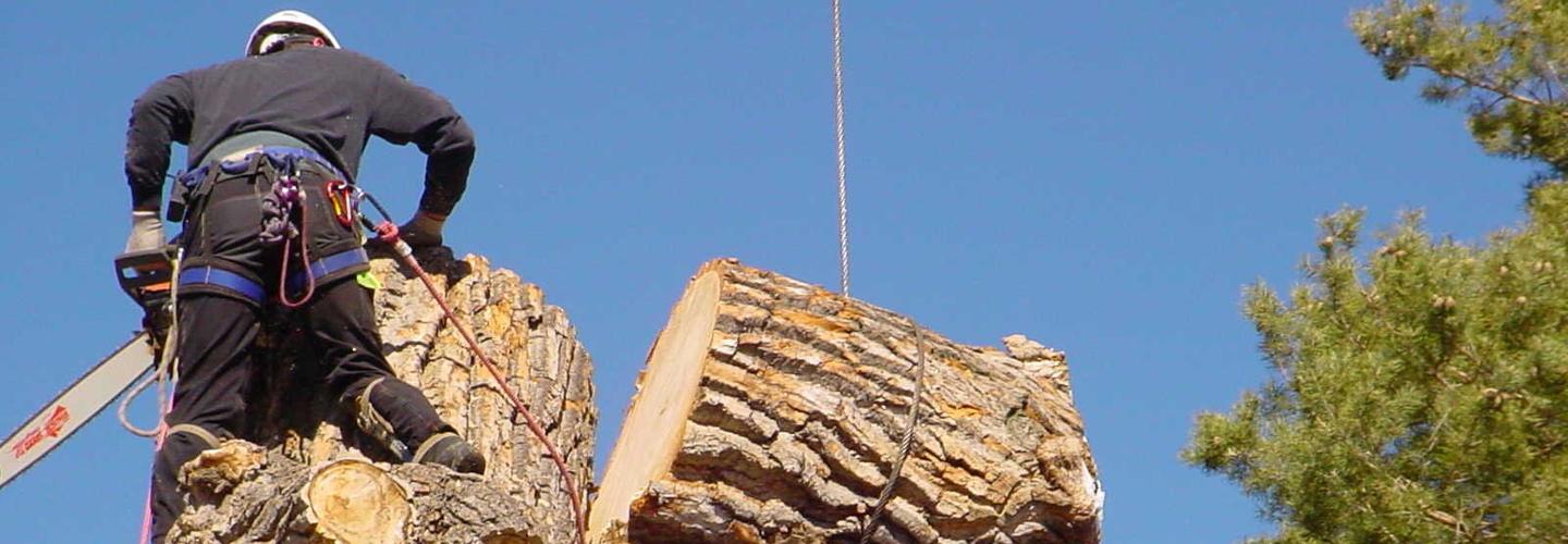 Busby Tree Services LLC cover photo