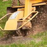 Busby Tree Services LLC - photo 1