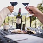 Michel-Schlumberger Wine Estate - photo 2