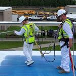 The Roof Co - photo 4