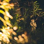 Eneron Electrical - photo 4