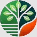 Elagage et Abattage Orleans 45 - Tree Services in Orleans