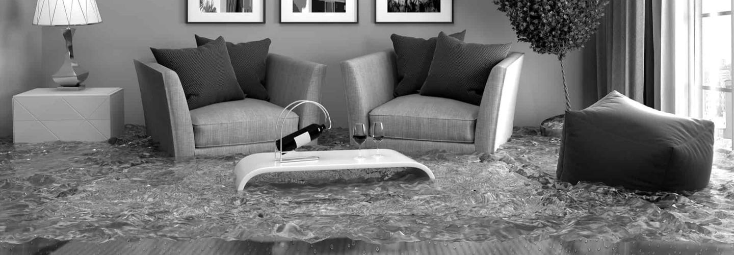 1-800 WATER DAMAGE OF CLEVELAND WEST cover photo