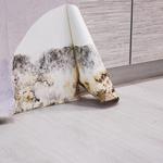 1-800 WATER DAMAGE OF CLEVELAND WEST - photo 4