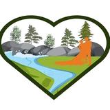 Over Waterfalls - Wedding Planning in Hot Springs