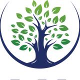 Tino Land Scaping Services