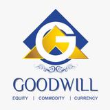 Goodwill Wealth Management Pvt Ltd (ERODE) - Business Financial Consultants in Indiana