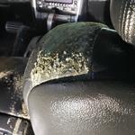 Bio-One of OKC - photo 2