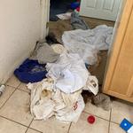 Bio-One of OKC - photo 3