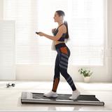 Walking Pad NZ - Professional Services in Christchurch