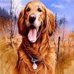 Jigsaw Universe UK - photo 2